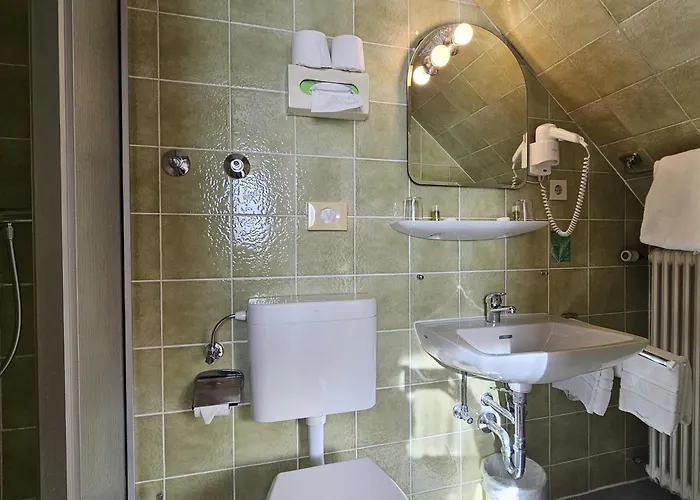 Gasthuis Arrivel Am Bergson - Bisher Neuner München