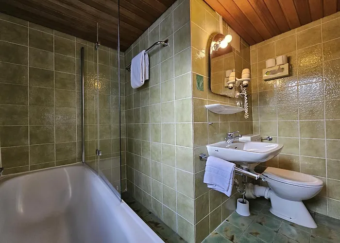 Arrivel Am Bergson - Bisher Neuner Gasthuis